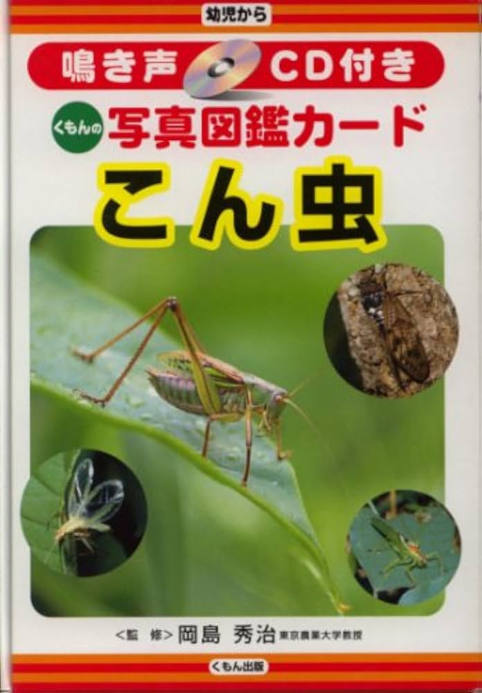 くもん 写真図鑑カード こん虫、野鳥 くもん 写真図鑑カード こん虫、野鳥